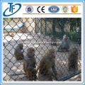 /msite/products/detail/productid/29843694/id/507741.html